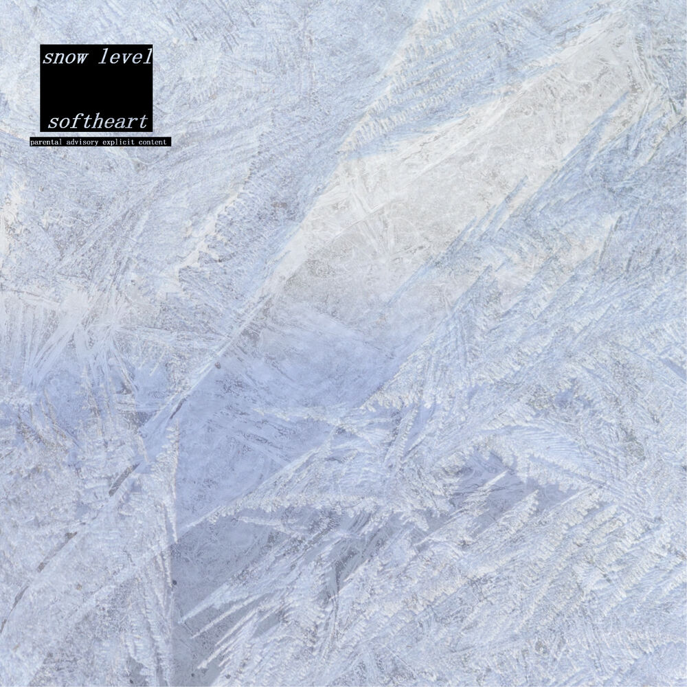 Picture of snow level