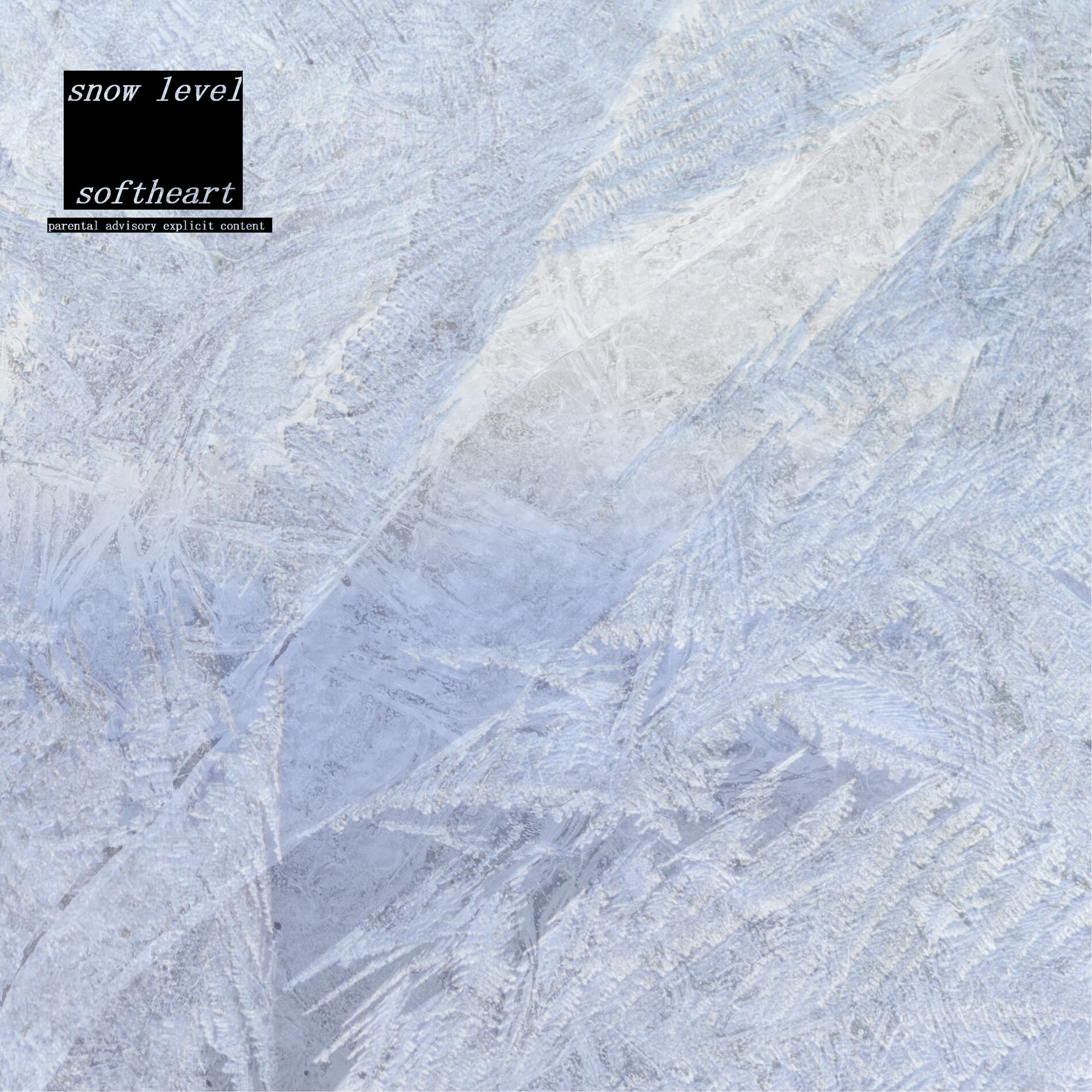Album cover of snow level