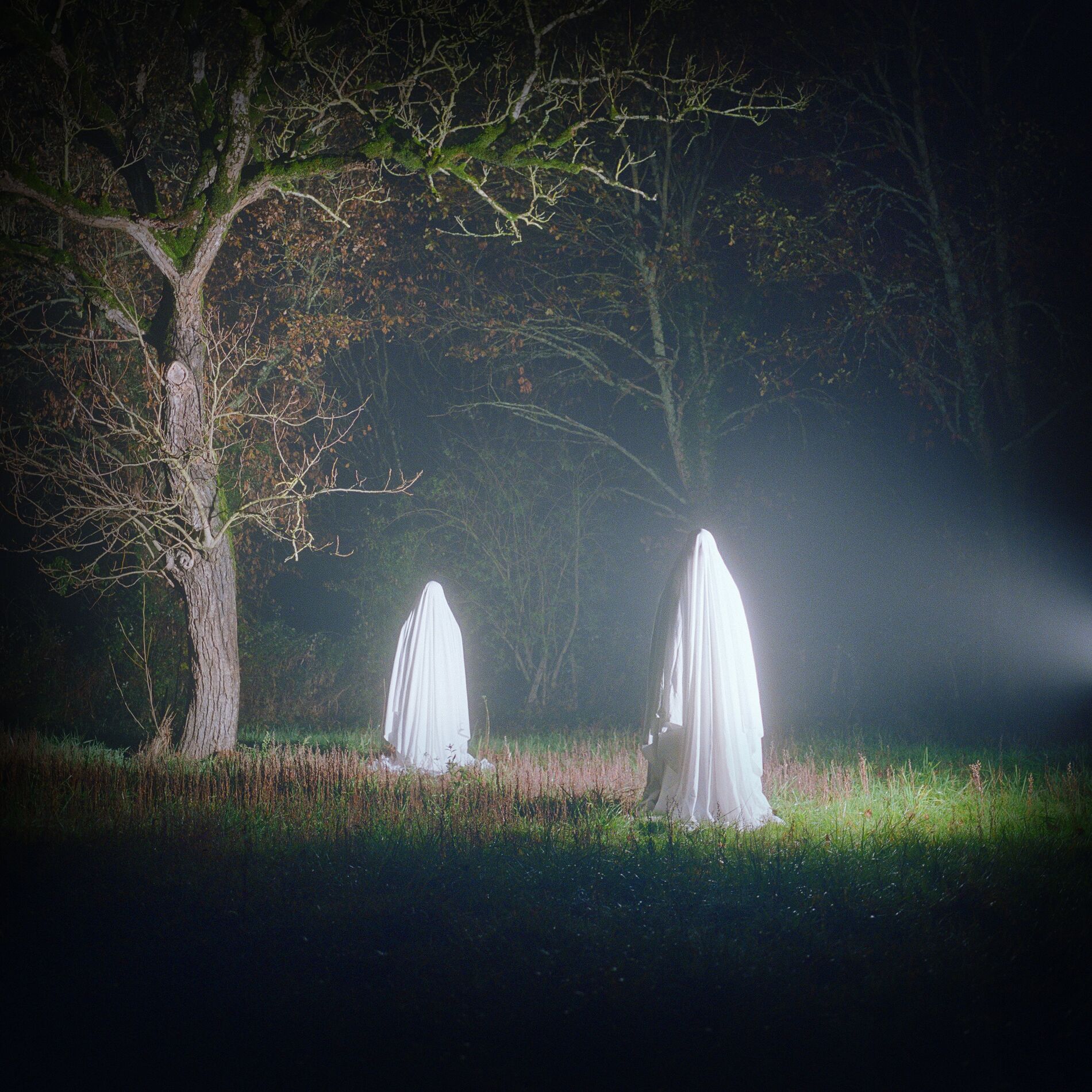 Album cover of la peau des yeux