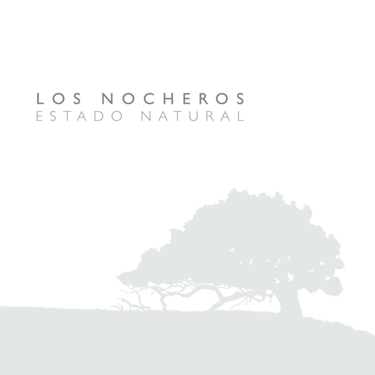 Album cover of Canto Nochero
