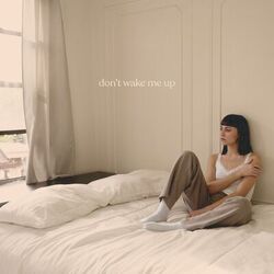 Cover of Don't Wake Me Up