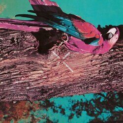Cover of Symptoms