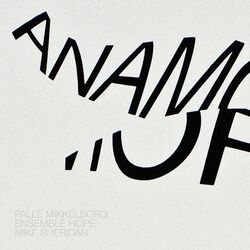 Cover of Anamorphosis