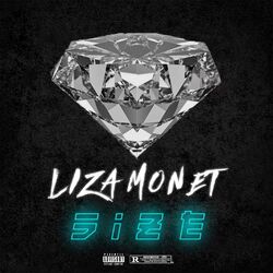 Cover of Size