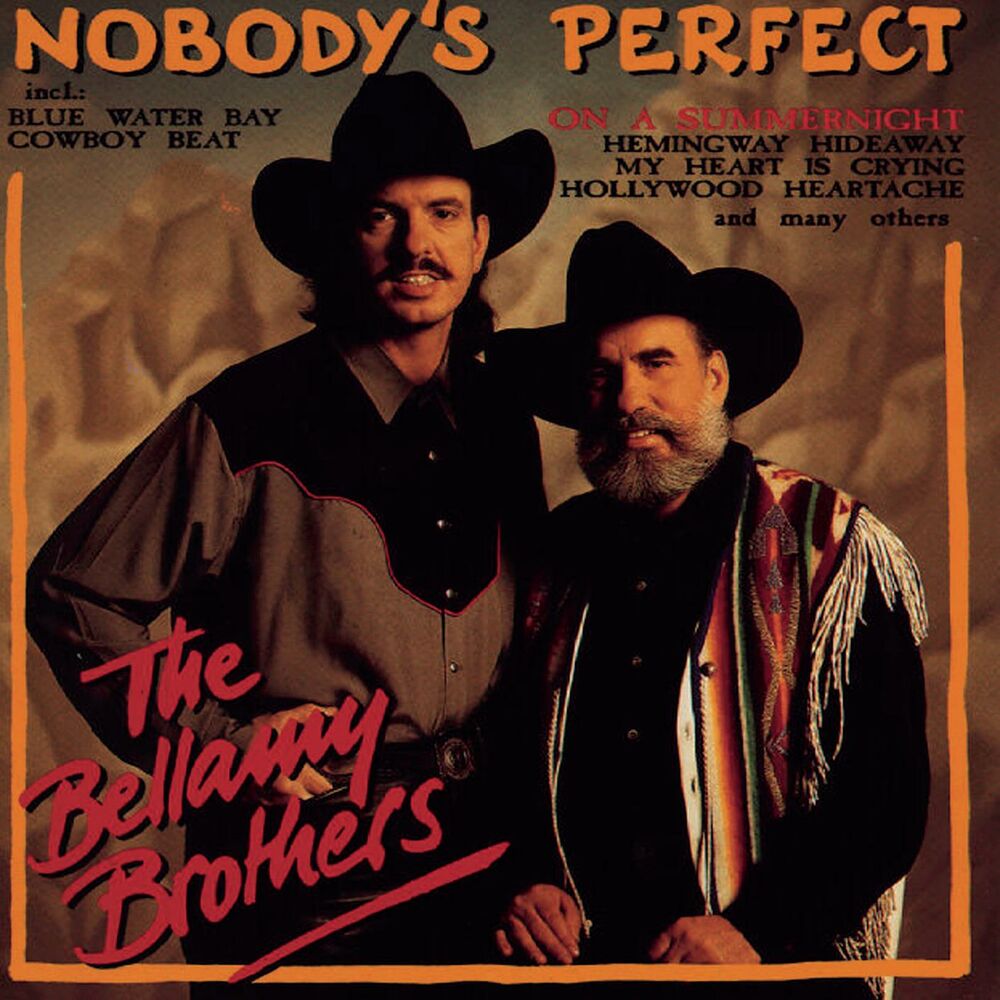 Picture of Nobody's Perfect
