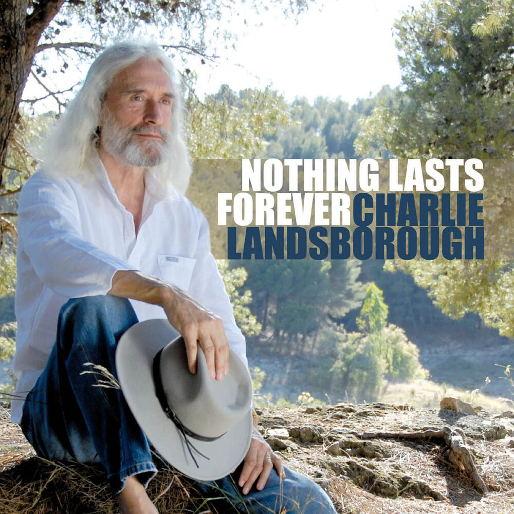 Picture of Nothing Lasts Forever