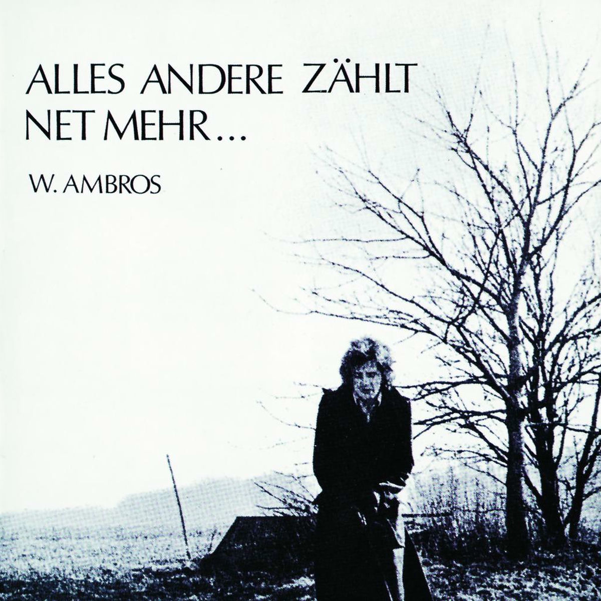 Album cover of Alles Andere zählt net mehr