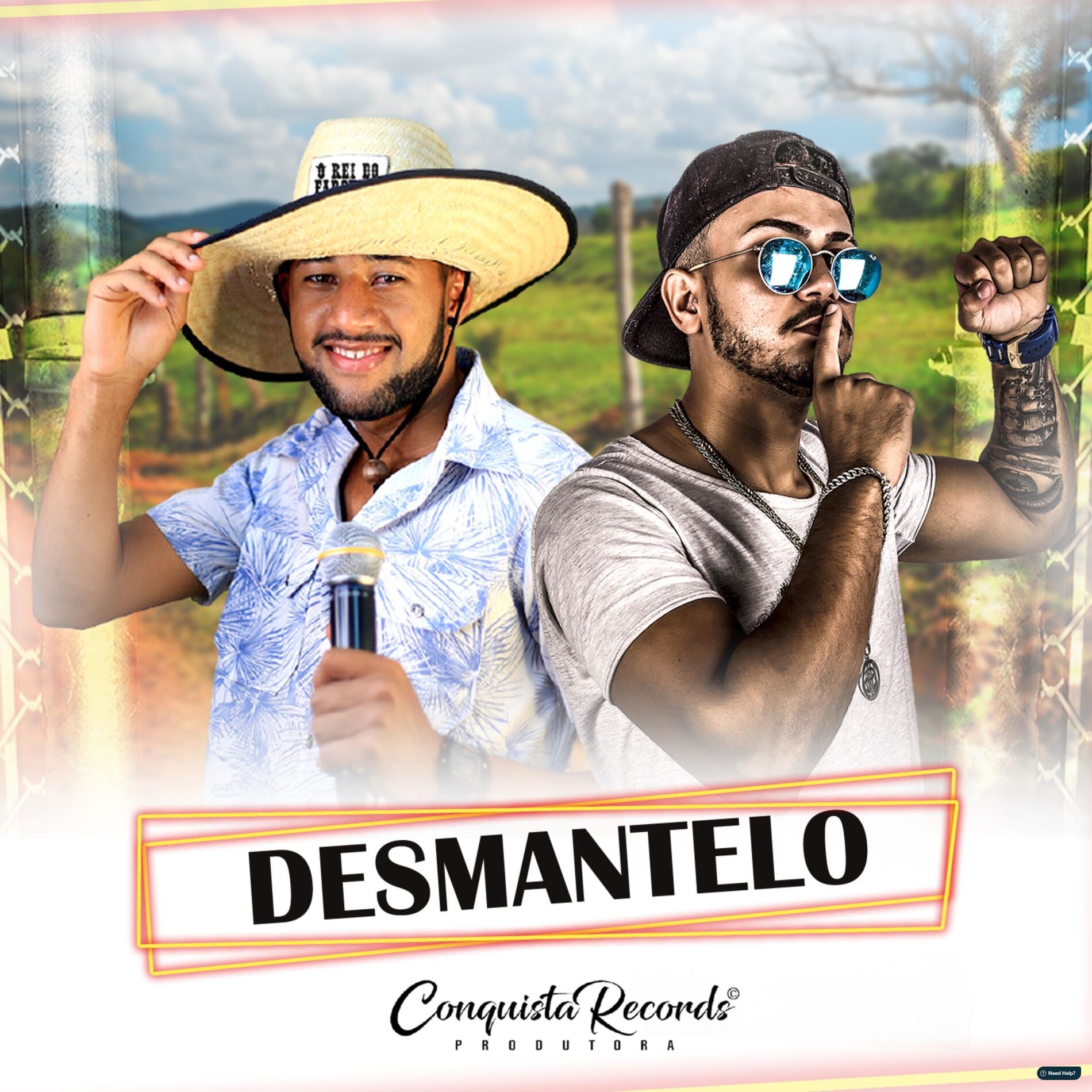 Album cover of Desmantelo