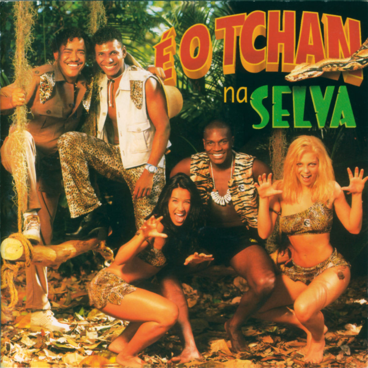 Album cover of Festa Do Passa Mao