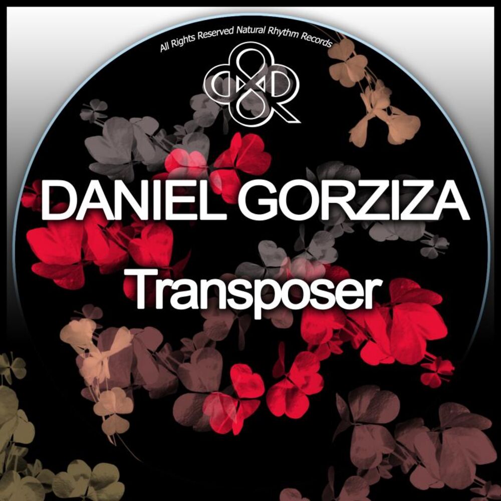 Picture of Transposer