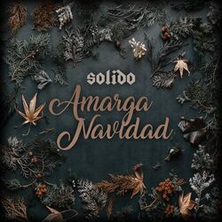 Cover of Amarga Navidad