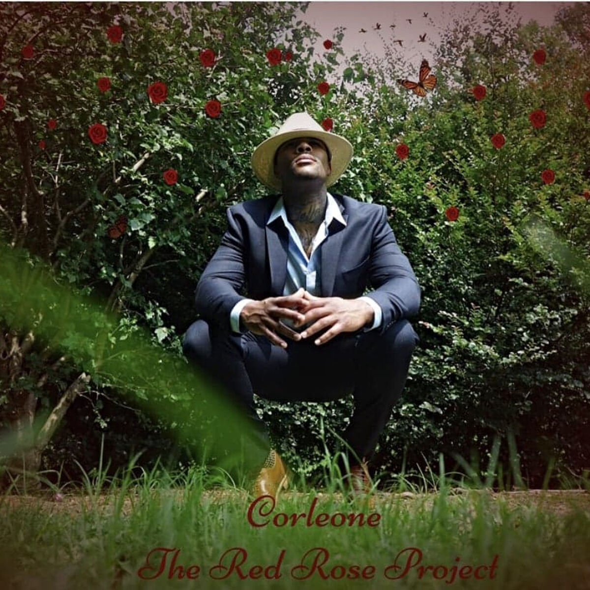 Album cover of The Red Rose Project