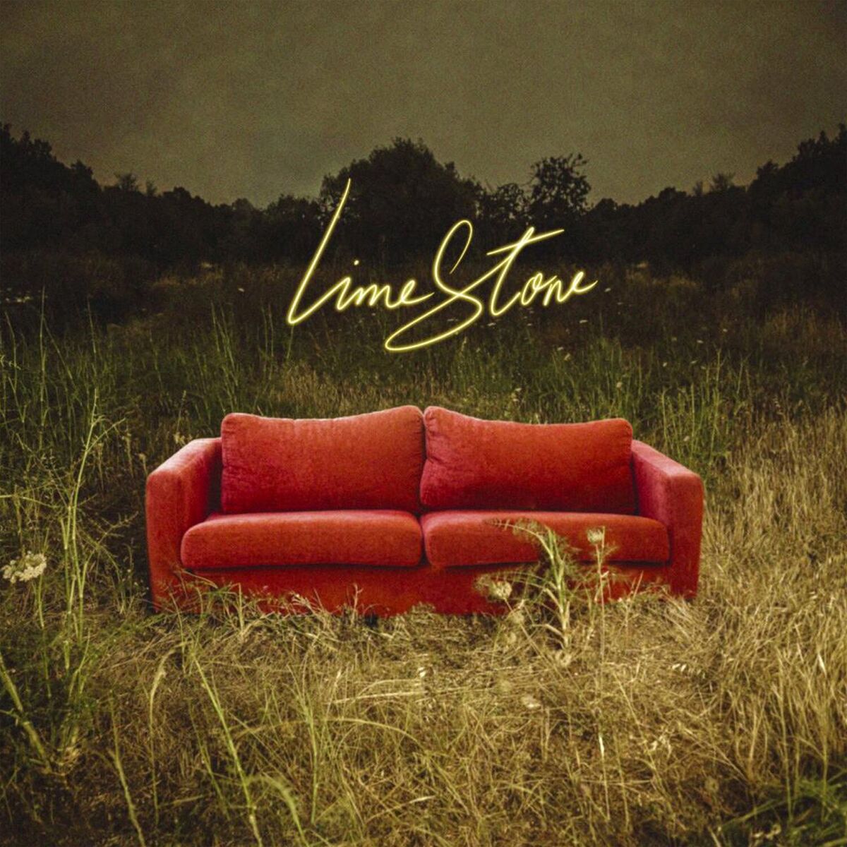 Album cover of Limestone
