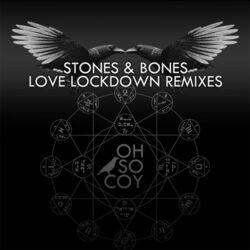 Cover of Love Lockdown