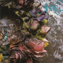 Cover of Cantico