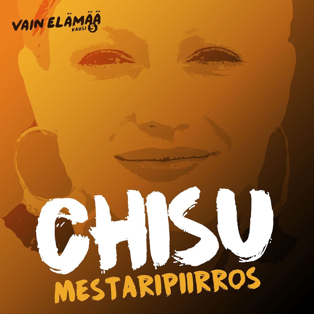 Picture of Mestaripiirros (Vain elämää kausi 5)