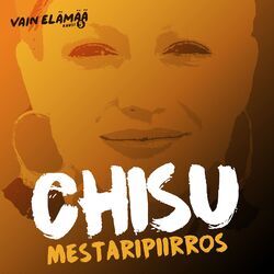 Cover of Mestaripiirros (Vain elämää kausi 5)