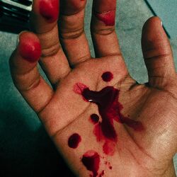 Cover of Love Lies Bleeding