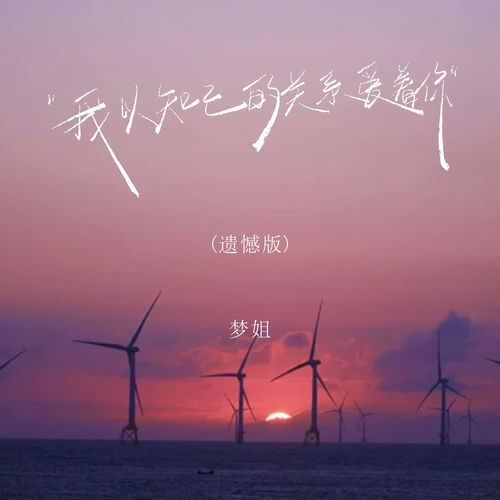 我以知己的关系爱着你 (遗憾版)