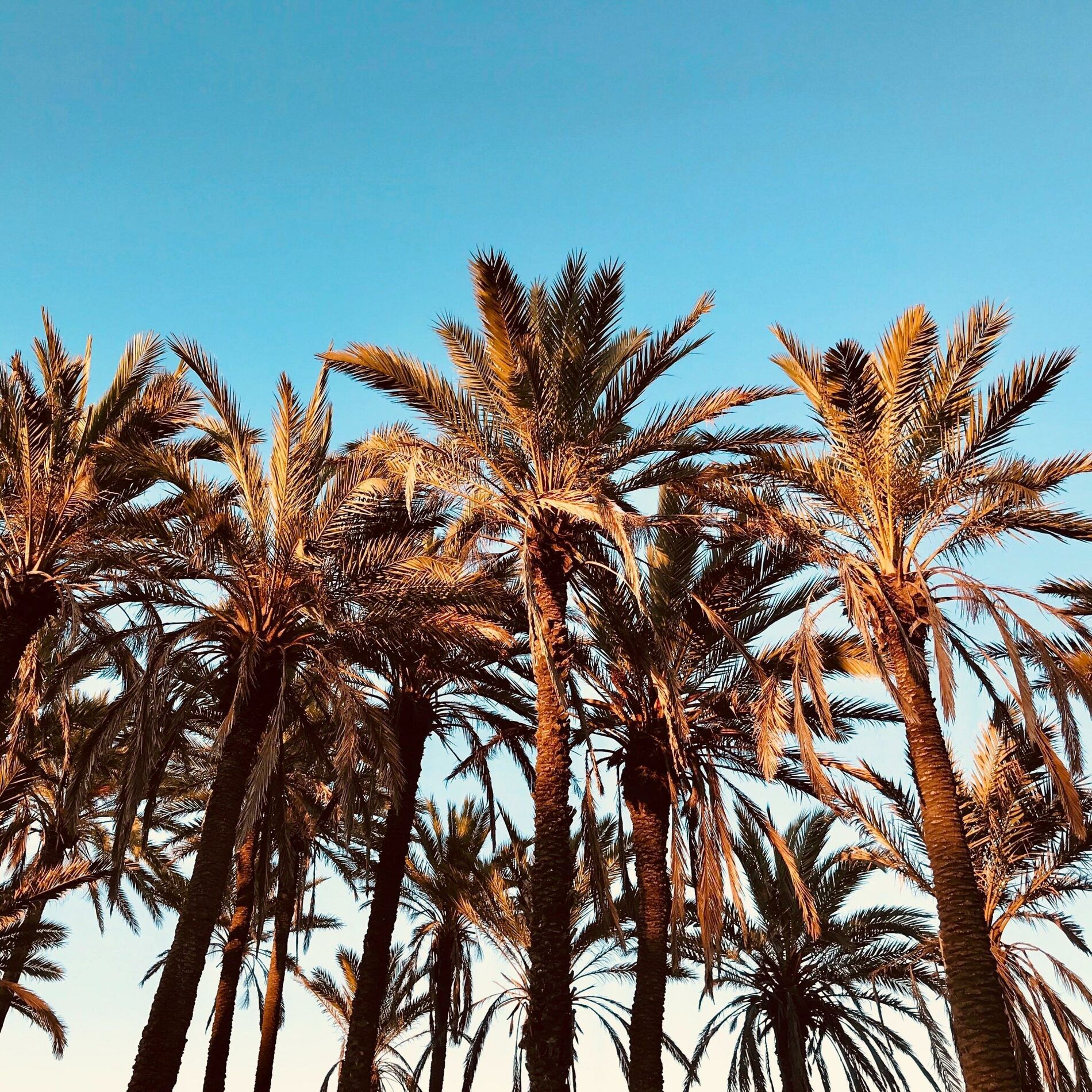 Album cover of Manu koné (feat. Juanito)
