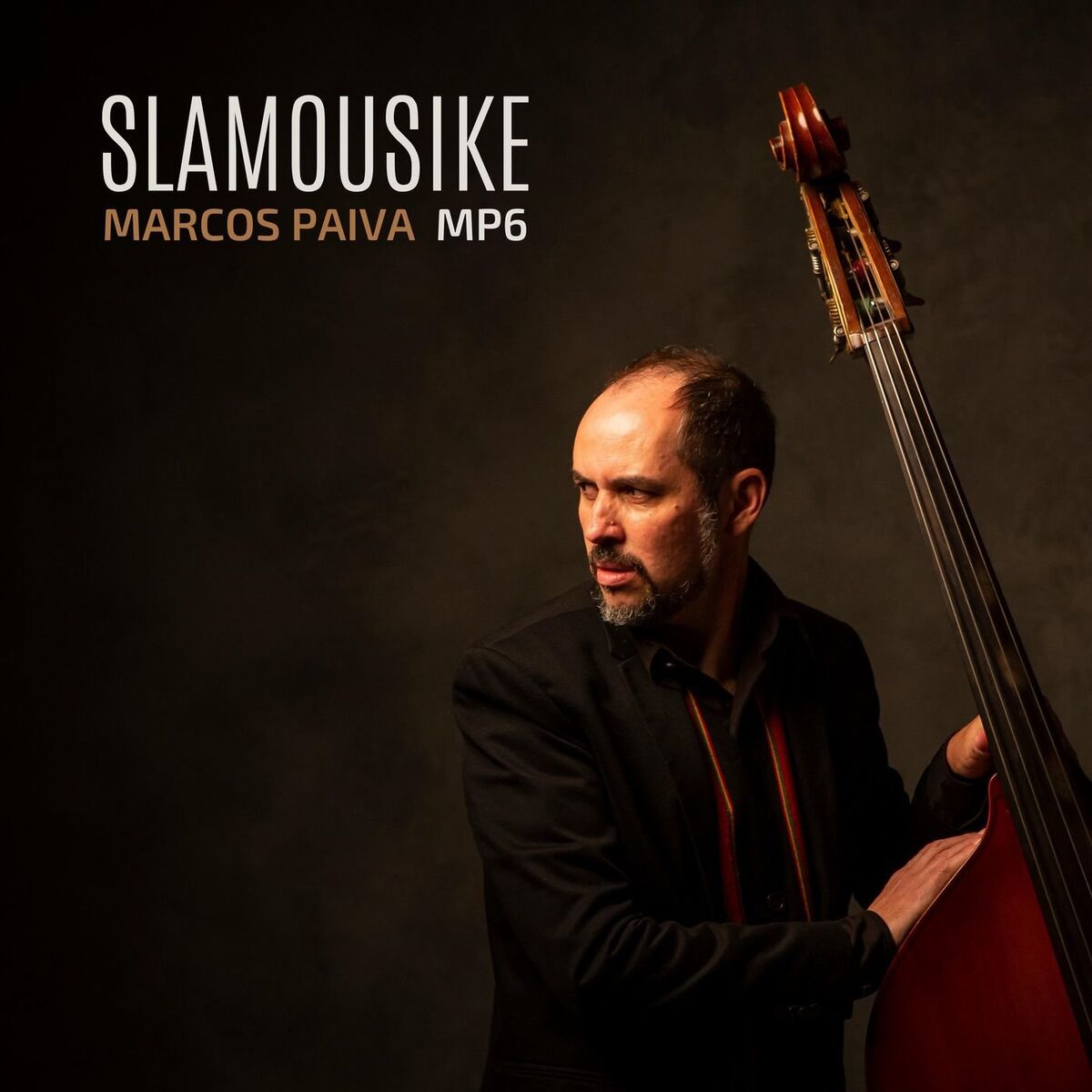 Album cover of Slamousike