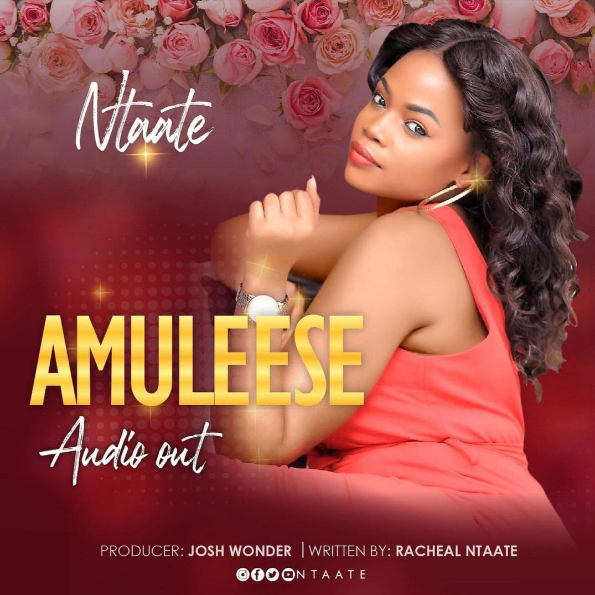Album cover of AMULEESE