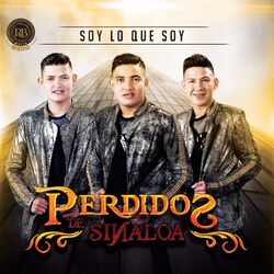 Cover of Soy Lo Que Soy