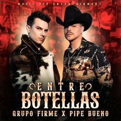 Cover of Entre Botellas
