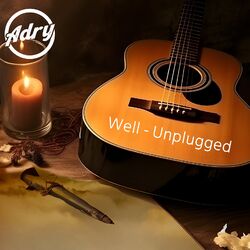 Cover of Well (Unplugged)