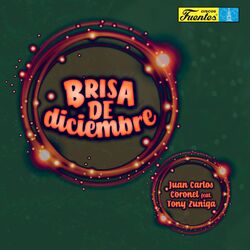 Cover of Brisa de Diciembre