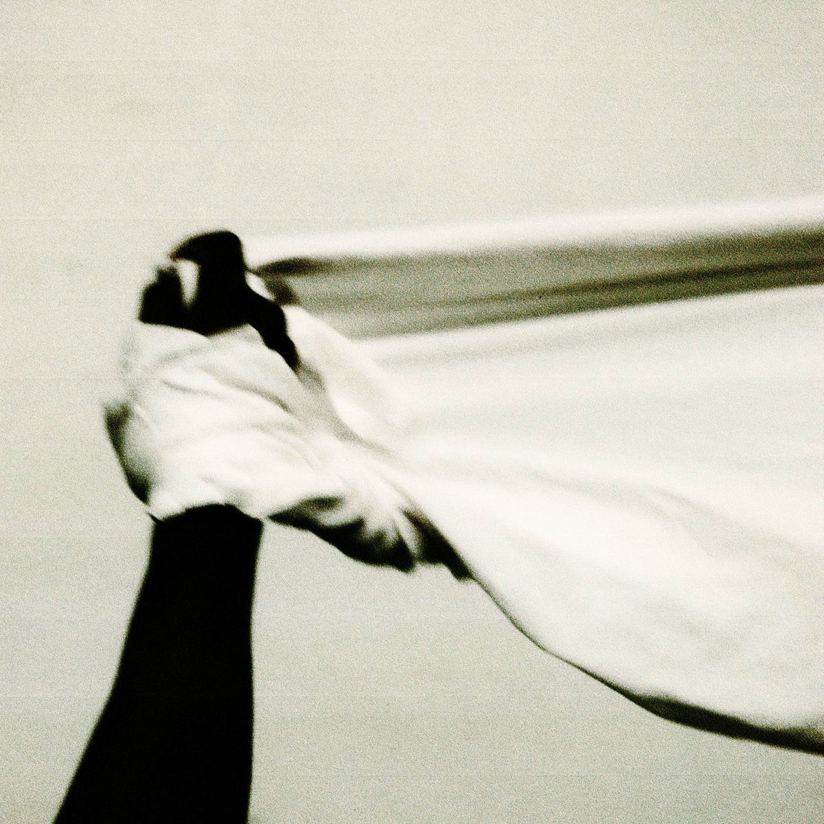 Album cover of Rene Hjerter