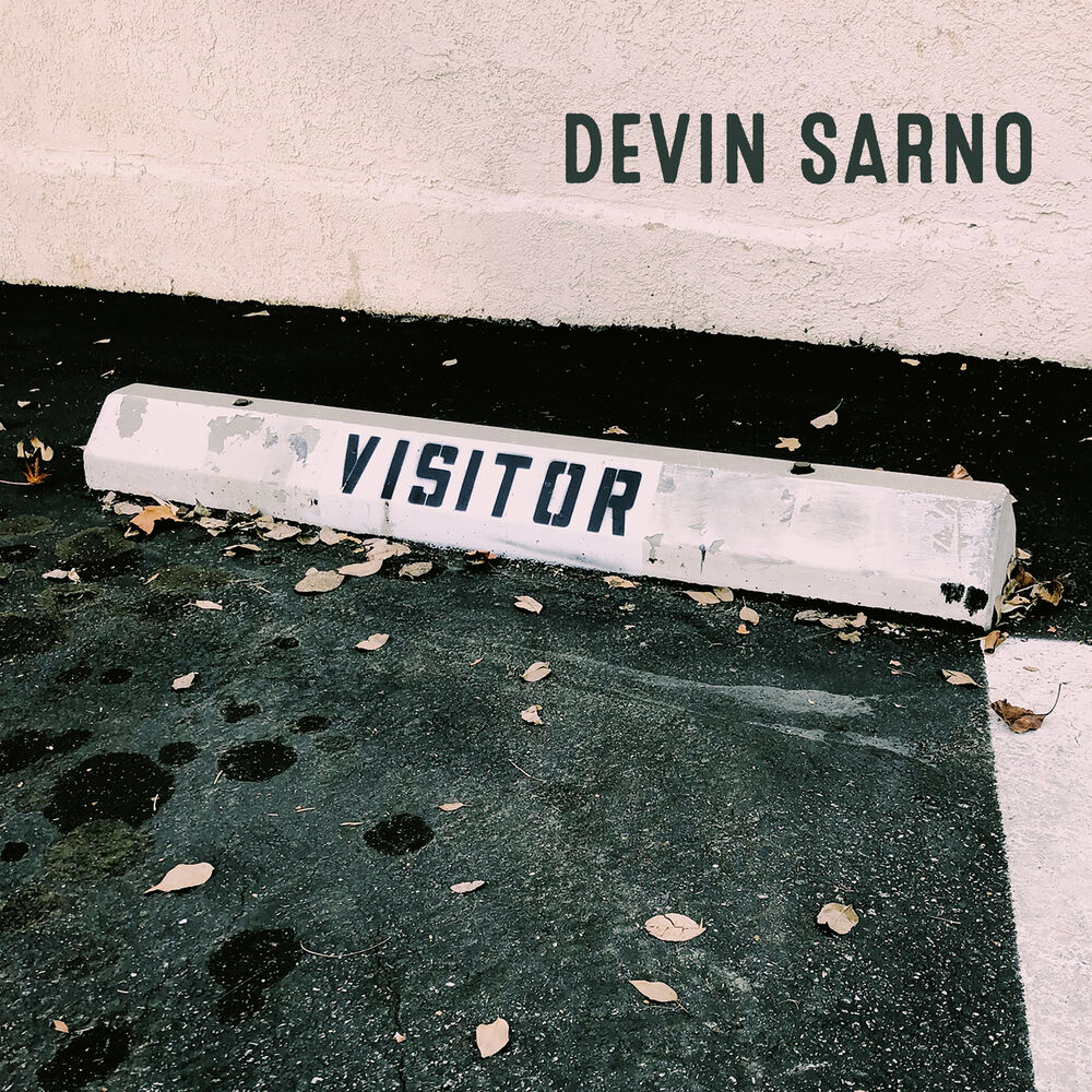 Picture of Visitor
