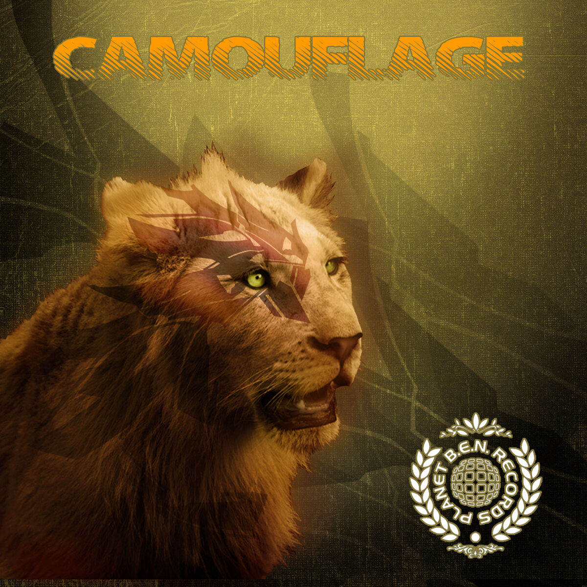 Album cover of Camouflage