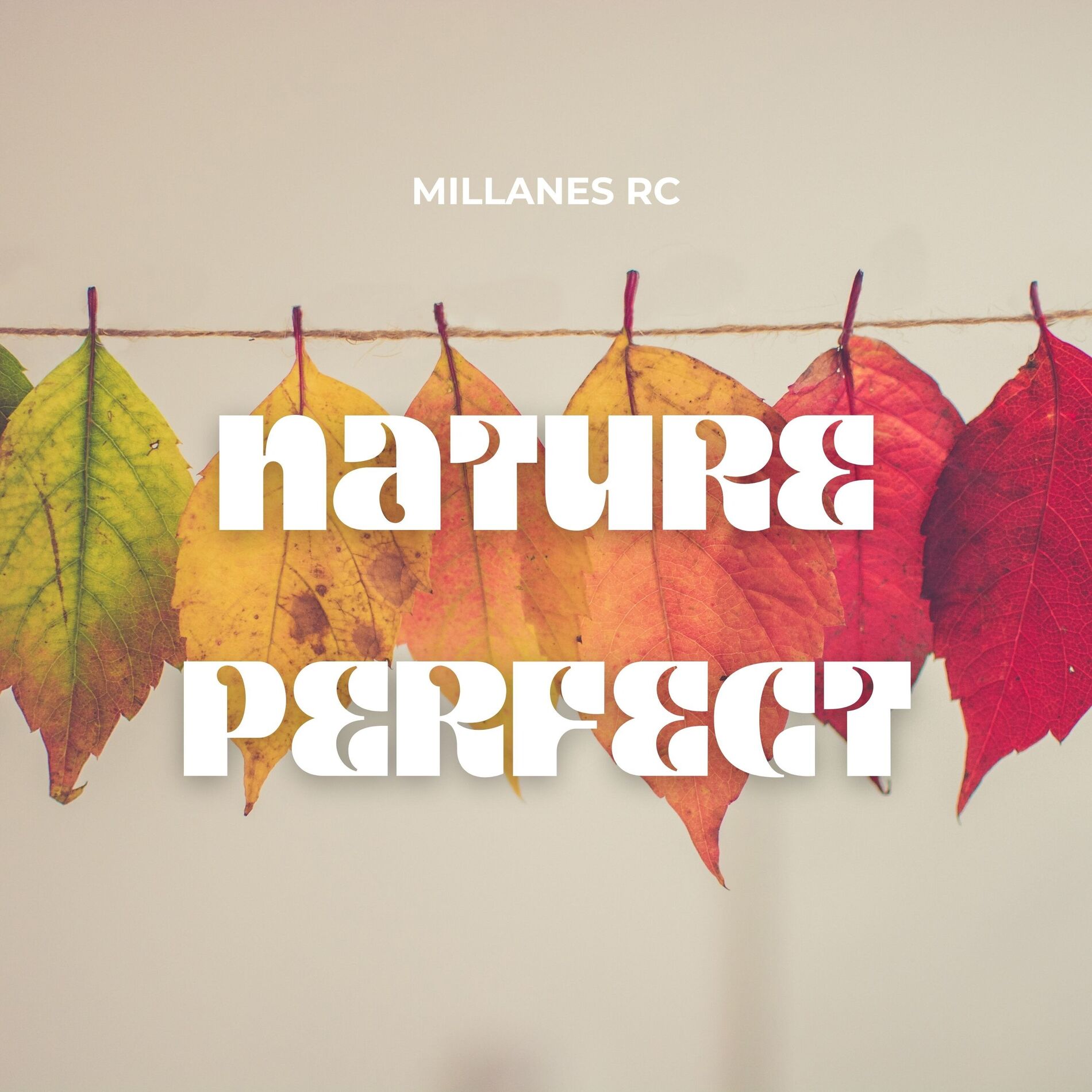 Album cover of Nature Perfect