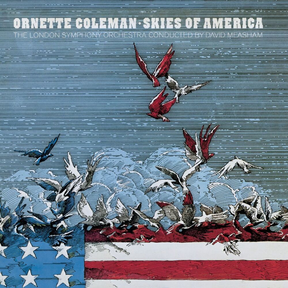 Picture of Skies Of America
