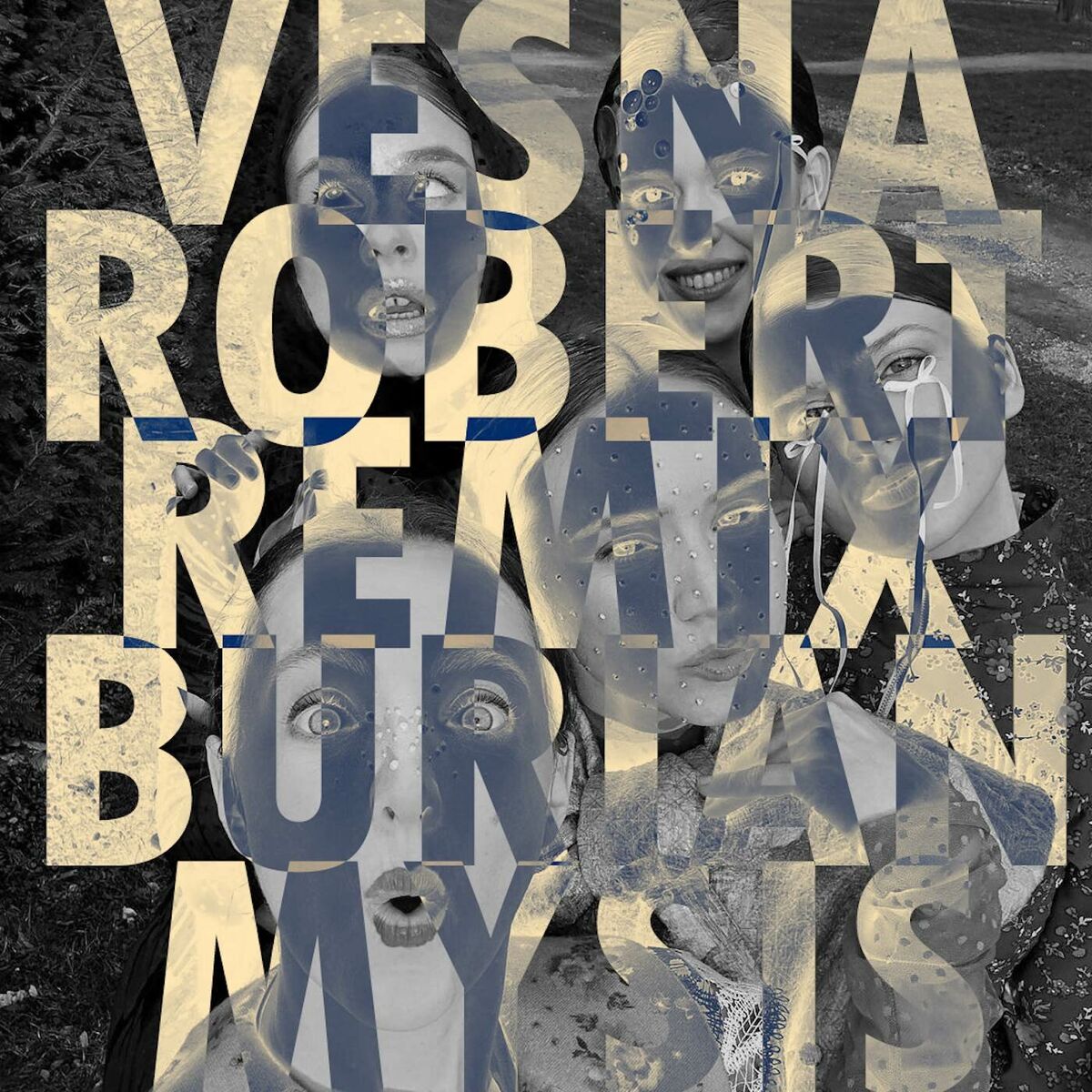 Album cover of My Sister's Crown (Remix)