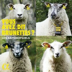 Cover of Vous avez dit Brunettes?