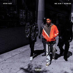 Cover of We Ain't Homies