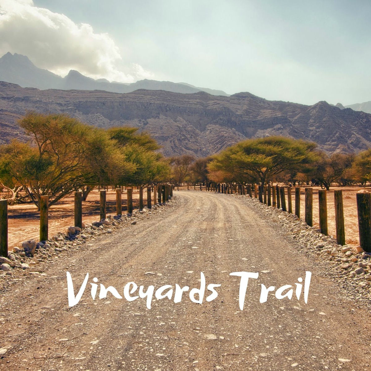 Album cover of Vineyards Trail