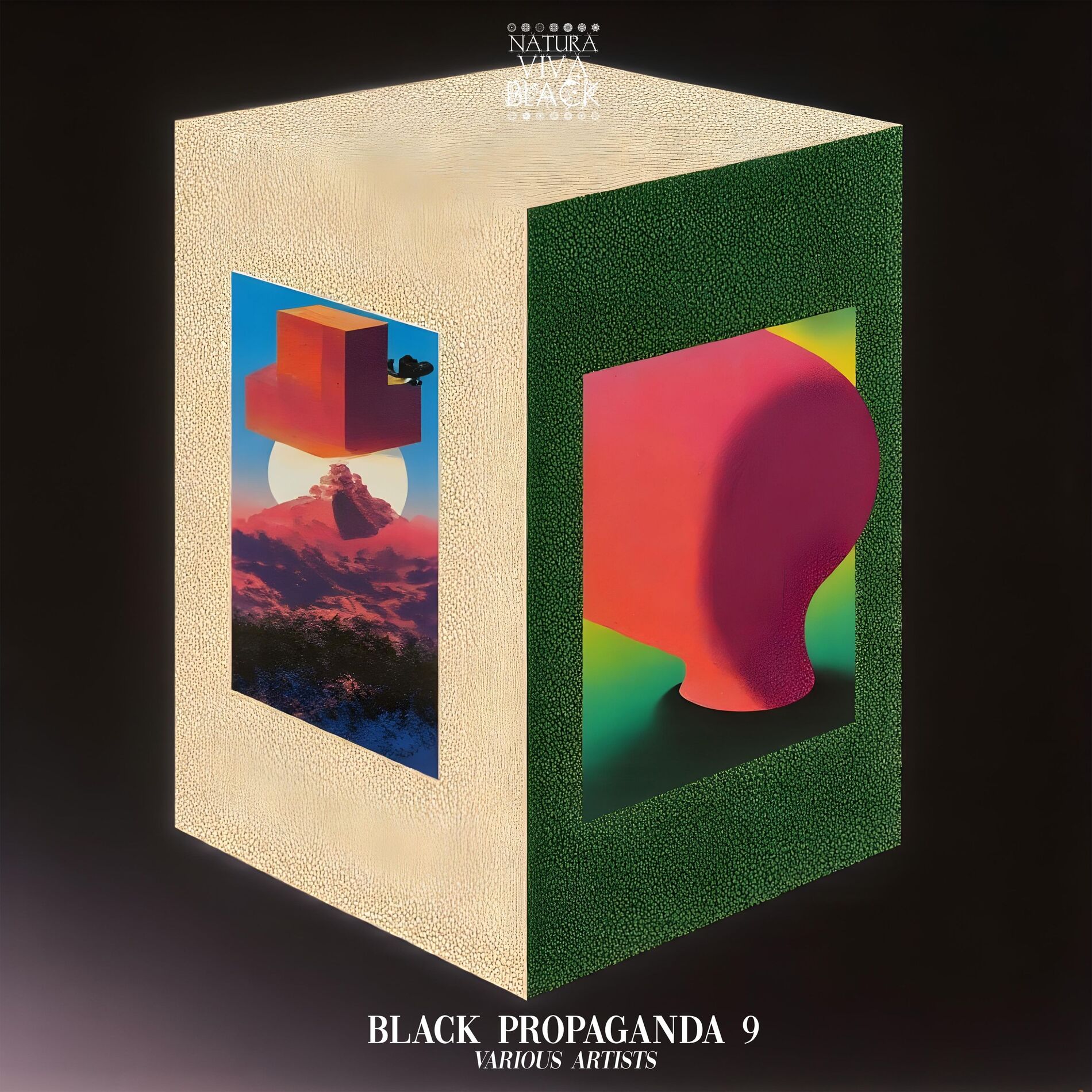 Album cover of Black Propaganda 9