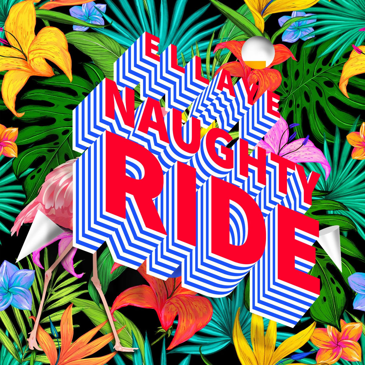 Album cover of Naughty Ride
