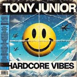 Cover of Hardcore Vibes