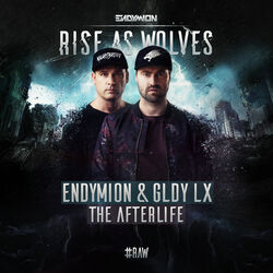 Cover of The Afterlife (Radio Edit)