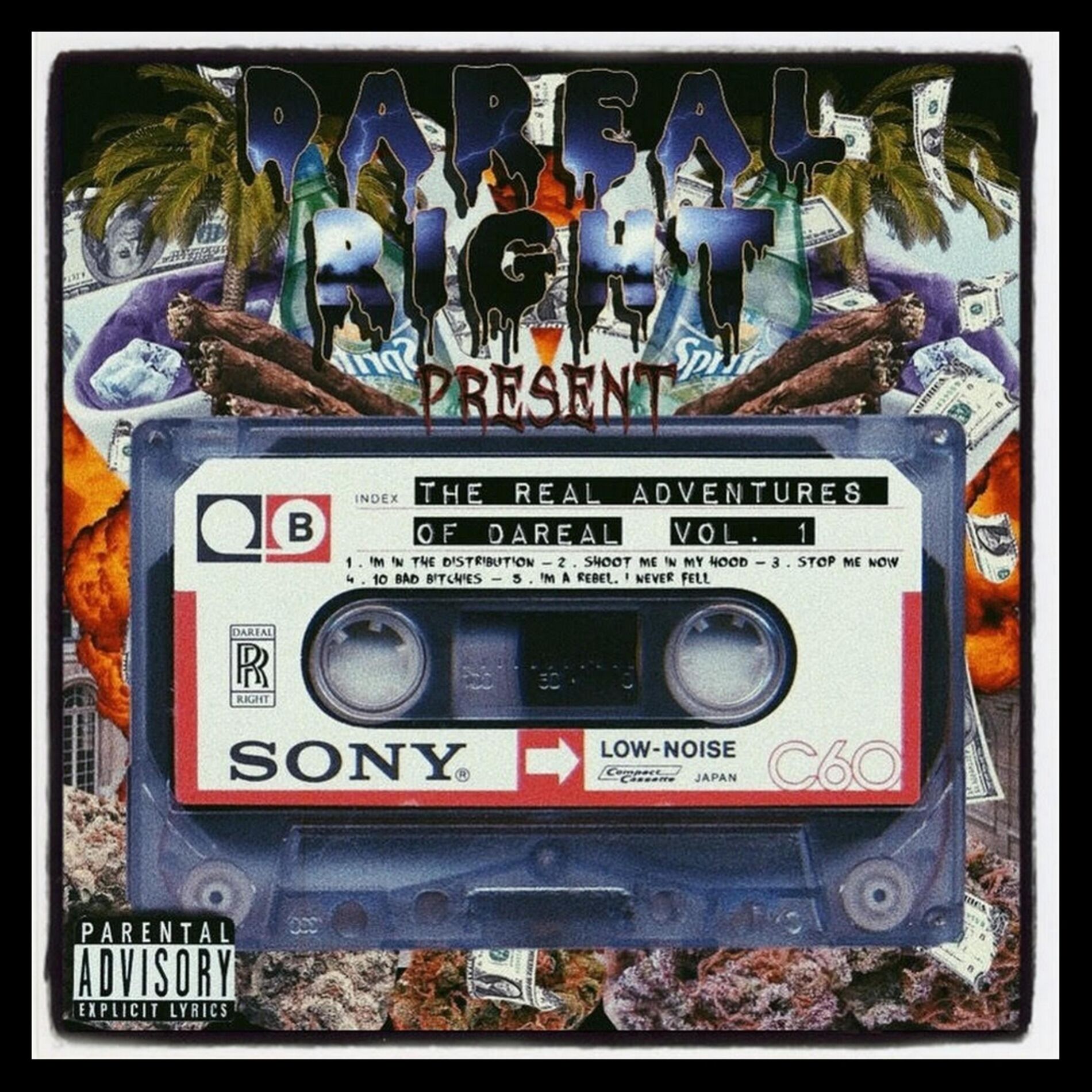 Album cover of The Real Adventures of Dareal, Vol. 1