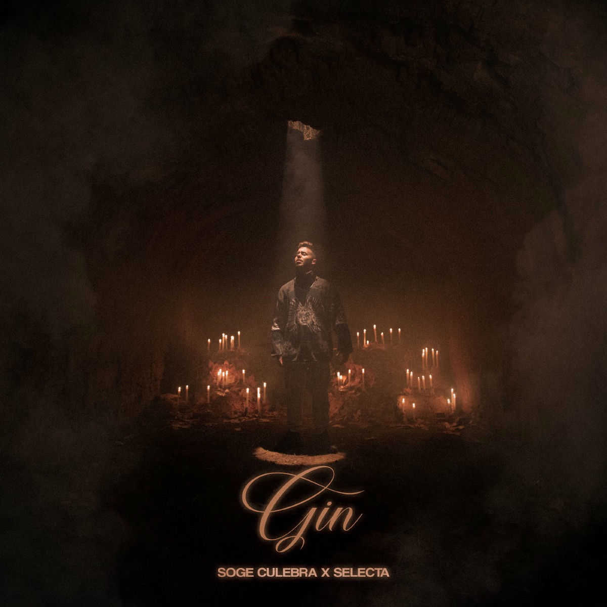 Album cover of Gin