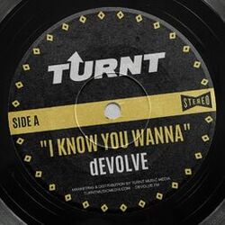Cover of I Know You Wanna