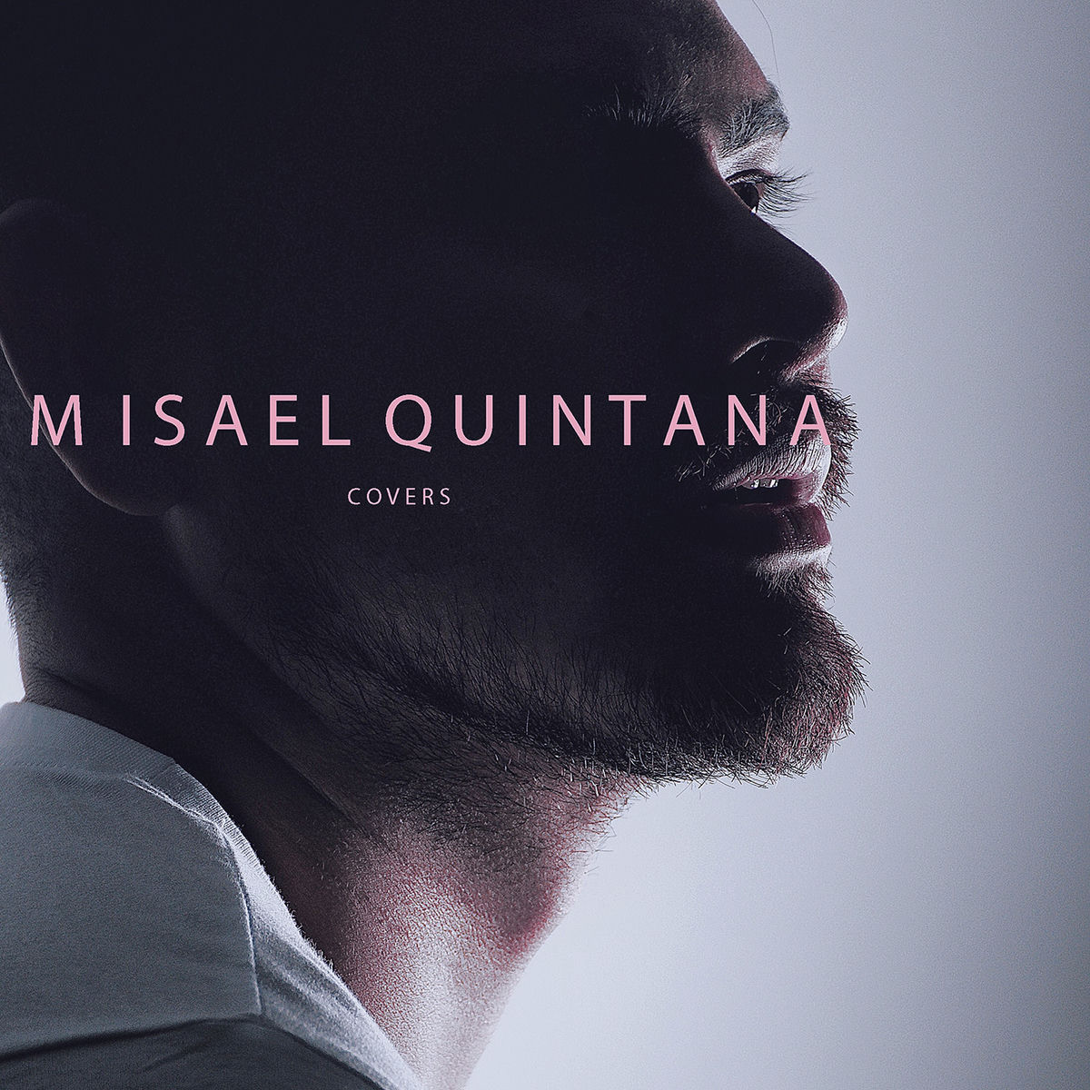Album cover of Covers