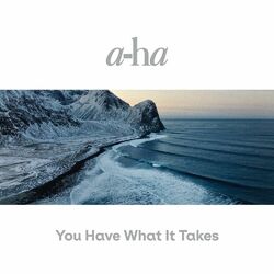 Cover of You Have What It Takes