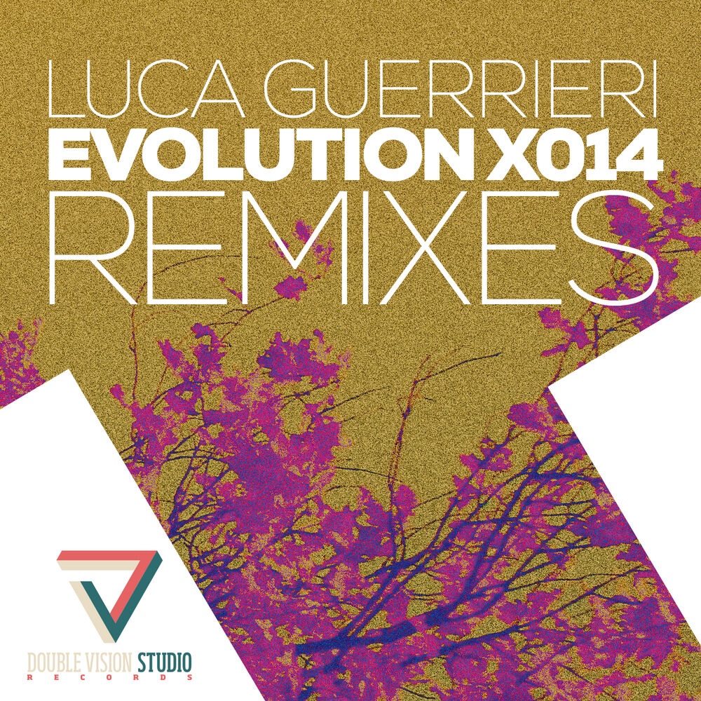Picture of Evolution X014 Remixes