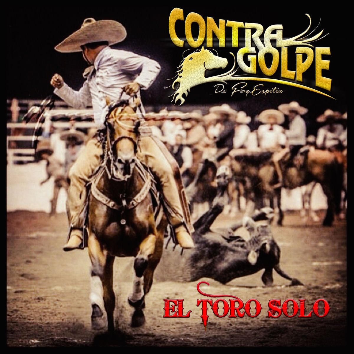 Album cover of El Toro Solo